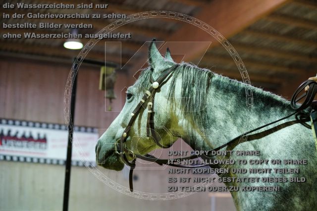 s_K3F06805.JPG